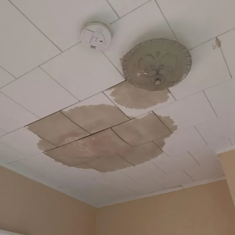 Ceiling Water Damage Repair in Baldwyn, MS