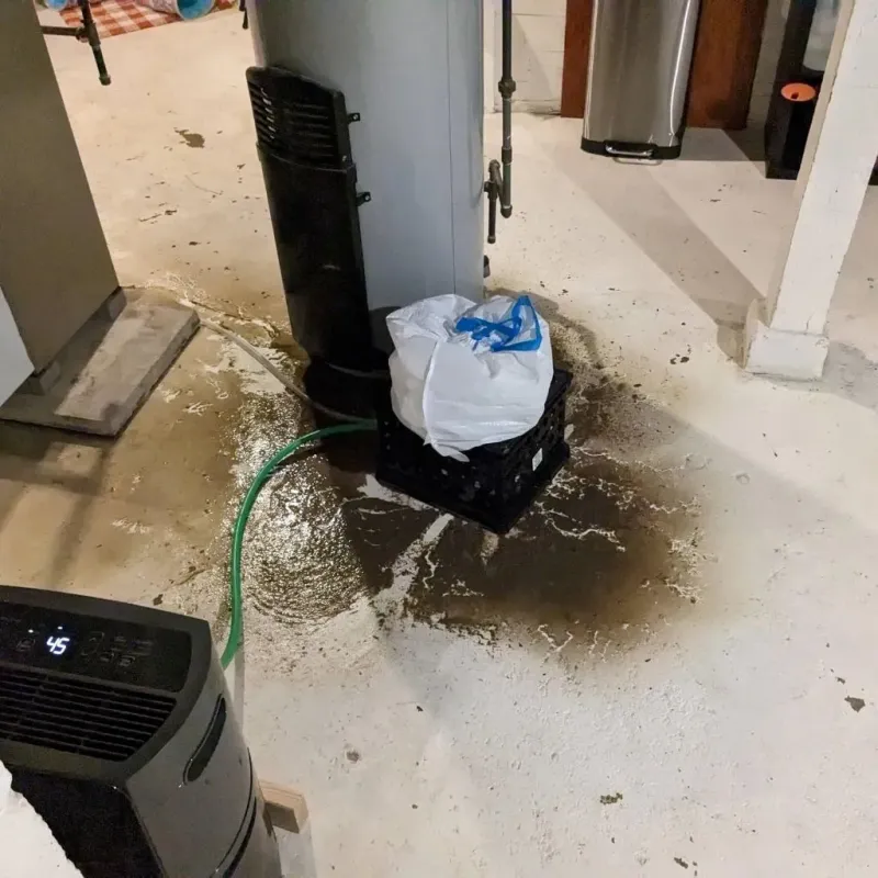 Sewage Backup Cleanup Service in Baldwyn, MS